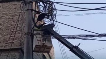 أمن الدولة يتحرك... ويزيل التعدي على شبكة كهرباء زحلة