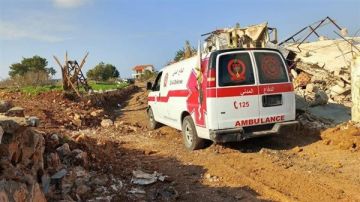 جنوبا: مسيرة تستهدف راع!