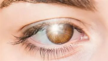 لا تنتظر ظهور الأعراض.. دراسة طبية تحذر من أمراض تسرق النظر