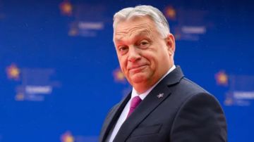 زيلينسكي يسخر من بطن رئيس وزراء