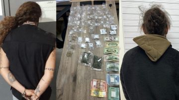 قوى الأمن: توقيف شخصين روجا المخدرات في الكسليك وبئر العبد قوى الأمن: توقيف شخصين روجا المخدرات في الكسليك وبئر العبد