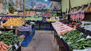 جولات تفتيشية... وإنذارات جولات تفتيشية... وإنذارات