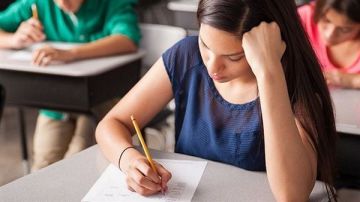 التربية تحدد شروط ترشيح الطلاب للامتحانات الرسمية 2026