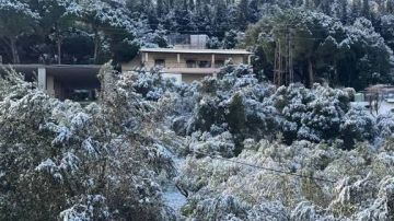 الثلوج لامست الـ 500 متر في عكار للمرة الأولى