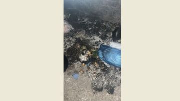 بلدية سير الضنية تحذر من حرق النفايات في البلدة