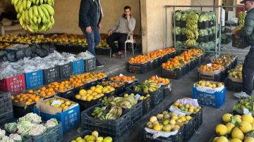 وزارة الزراعة تعلن توفر المحاصيل النباتية والحيوانية وزارة الزراعة تعلن توفر المحاصيل النباتية والحيوانية