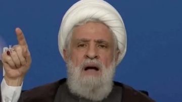 متى يعاقب نعيم قاسم؟