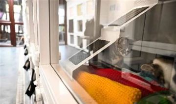 اتصالات مكثفة تصل الى مراكز ايواء الحيوانات.. والوضع صعب