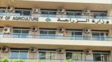 وزارة الزراعة: الإنتاج المحلي متوافر ومستقر