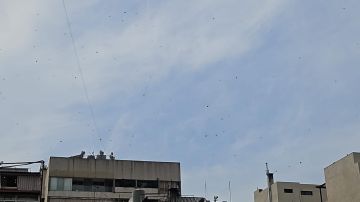 بالفيديو: مناشير إسرائيلية فوق بيروت