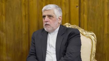 شيباني باقي بلبنان؟