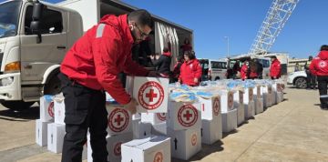 الصليب الأحمر: توزيع مساعدات أساسية على النازحين في المدينة الرياضية