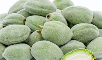 وجبة خفيفة صحية.. لماذا يجب تناول اللوز الأخضر؟