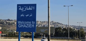 بينهم أطفال.. شهداء في بلدتي الغازية والصوانة بالجنوب