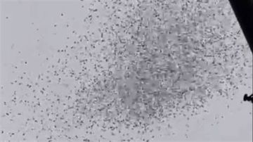 القاء مناشير فوق بيروت