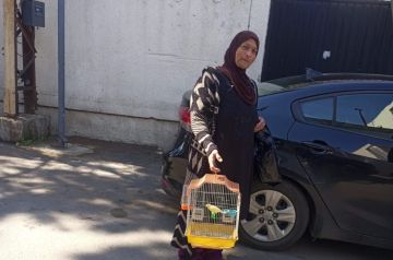 في يومها العالمي المرأة اللبنانية حارسة الأمل والصمود في زمن الأزمات في يومها العالمي المرأة اللبنانية حارسة الأمل والصمود في زمن الأزمات