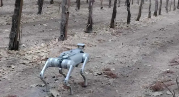 الكلاب الروبوتية تتولى رصد ومراقبة محاصيل الفاكهة بدقة عالية