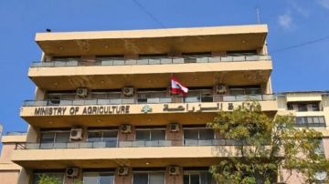 وزارة الزراعة عقدت اجتماعا تنسيقيا لشركاء القطاع واكدت تسريع الاستجابة لدعم المزارعين