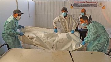 نقابة المستشفيات: تضحيات العاملين في القطاع الاستشفائي تجسد أسمى معاني المسؤولية الإنسانية والالتزام المهني نقابة المستشفيات: تضحيات العاملين في القطاع الاستشفائي تجسد أسمى معاني المسؤولية الإنسانية والالتزام المهني