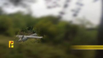 حزب الله: استهدفنا تجمعا لجنود العدو في مواقع هضبة العجل وإبل القمح ونمر الجمل وفي الناقورة كريات شمونة