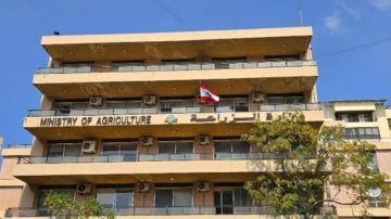 الزراعة بمناسبة عيد الفطر: الأرض تبقى مصدر الصمود والحياة الزراعة بمناسبة عيد الفطر: الأرض تبقى مصدر الصمود والحياة