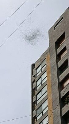 طائرة إسرائيلية رمت مناشير فوق العاصمة بيروت