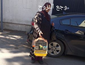 وجوه النزوح: قصص ألم لا ترويها الأرقام