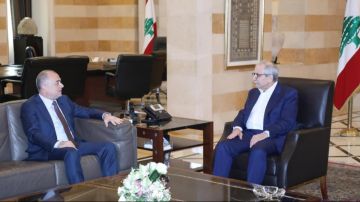 سلام بحث مع بو صعب ومرتينوس في التطورات