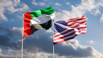 ماذا طلب الرئيس الإماراتي من الرئيس الأميركي؟ ماذا طلب الرئيس الإماراتي من الرئيس الأميركي؟