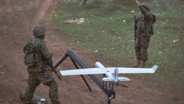 حزب الله: استهدفنا بمسيرات انقضاضية مواقع الرادارات وغرف التحكم في قاعدة رامات دافيد الجوية