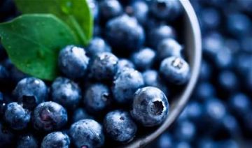 هذا ما يحدث لجسمك عند تناول التوت الأزرق يوميا