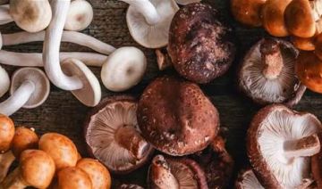 غني بالبوتاسيوم ومضادات الأكسدة.. وفوائد الفطر تتجاوز مجرد الطعم غني بالبوتاسيوم ومضادات الأكسدة.. وفوائد الفطر تتجاوز مجرد الطعم