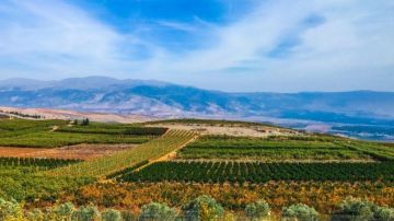 الجنوب المعزول: كيف تعيد إسرائيل تشكيل ساحة الحرب حول سهل مرجعيون