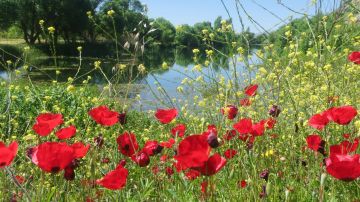 حرب على الأرض واستقرار في السماء... هكذا سيكون الطقس