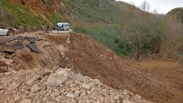 حصيلة الغارات قبل الظهر