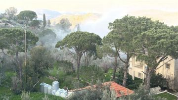 قوات العدو شنت غارتين على بلدة دبين قوات العدو شنت غارتين على بلدة دبين