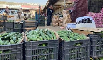 خلافا للقانون.. كيف منحت إجازة استيراد لجهة غير مختصة؟ النقابة تطالب بالتحقيق