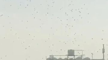 فيديو جديد للمناشير فوق العاصمة فيديو جديد للمناشير فوق العاصمة