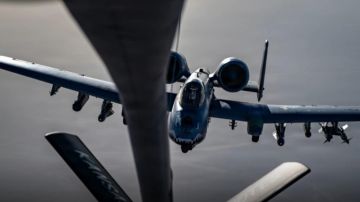 وحش السماء فوق طهران