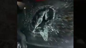 بالفيديو: بعد الغارة... تحطيم سيارات في عرمون!