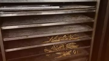 فضيحة الذوق وطبرجا الغذائية أفران تقفل بالشمع الأحمر بعد ضبط مواد فاسدة