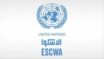 الاسكوا: اجتماع استثنائي الاربعاء في باريس حول حماية الممتلكات الثقافية في لبنان