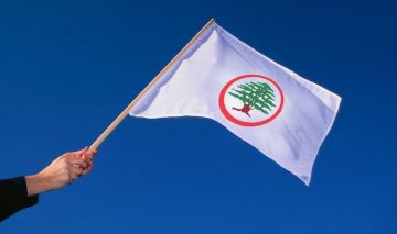 أعلام القوات تزعج مناصري الحزب أعلام القوات تزعج مناصري الحزب