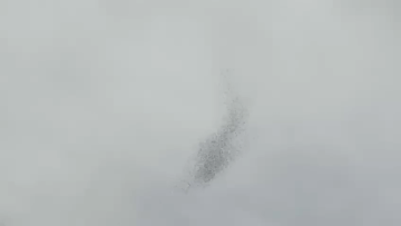 الجيش الإسرائيلي يلقي منشورات فوق بيروت تطالب بنزع سلاح حزب الله (صور فيديو)