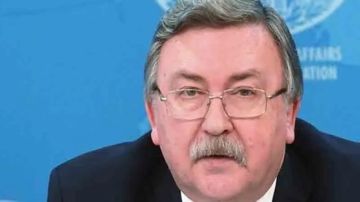 أوليانوف: الدولية للطاقة الذرية تعترف بوجود تهديد للسلامة المادية لمحطة بوشهر النووية