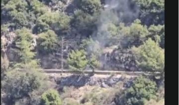 بالفيديو: استهداف سيارة على طريق عام جزين