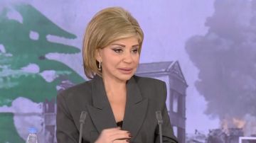 مي شدياق لـالحزب بالفيديو: لازم تتحاسبوا