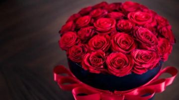 يا ورد مين يشتريك! يا ورد مين يشتريك!