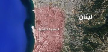 جولات خاصة في الضاحية؟