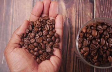 مركب طبيعي في القهوة يحمي من التهابات اللثة